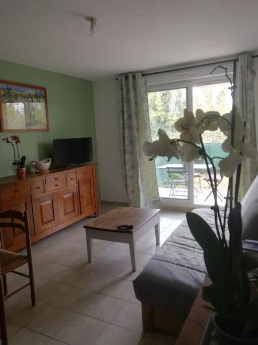 Appartement Avignon Garage-Spacieuse Terrasse Екстер'єр фото